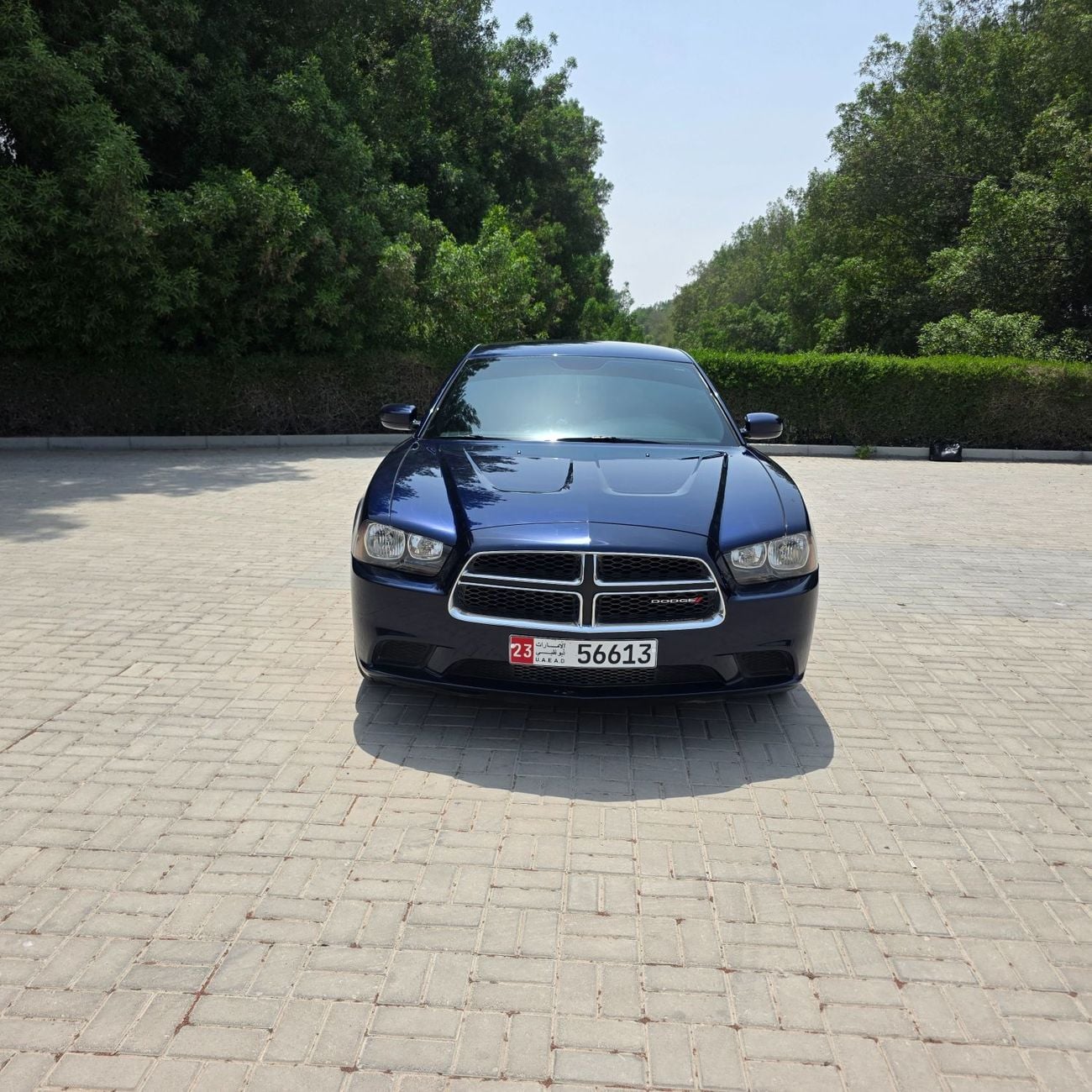 Dodge Charger SE