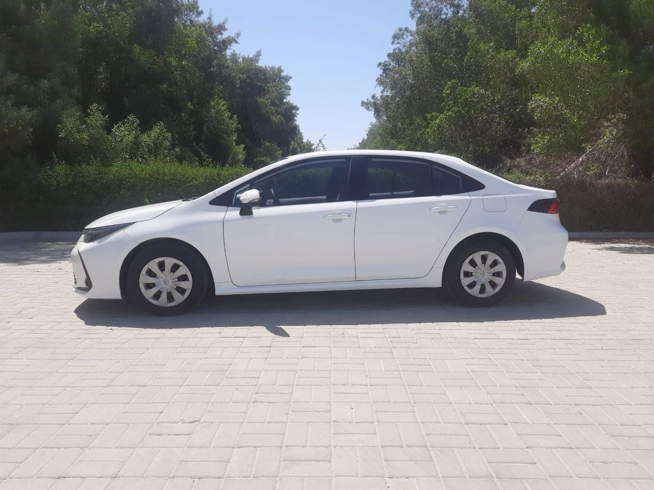 Toyota Corolla XLI