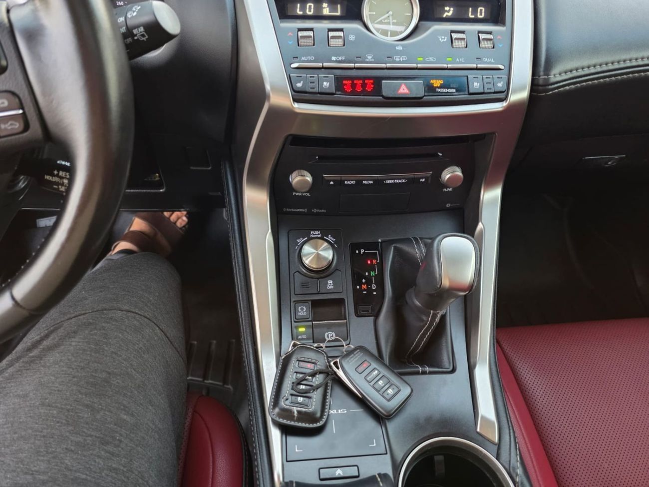 Lexus NX300 2021 Model Lexus NX300 Sunroof , 360 camera and trunk automatic