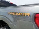 Ford F 150 Ford F-150 Tremor - 2023 - Grey