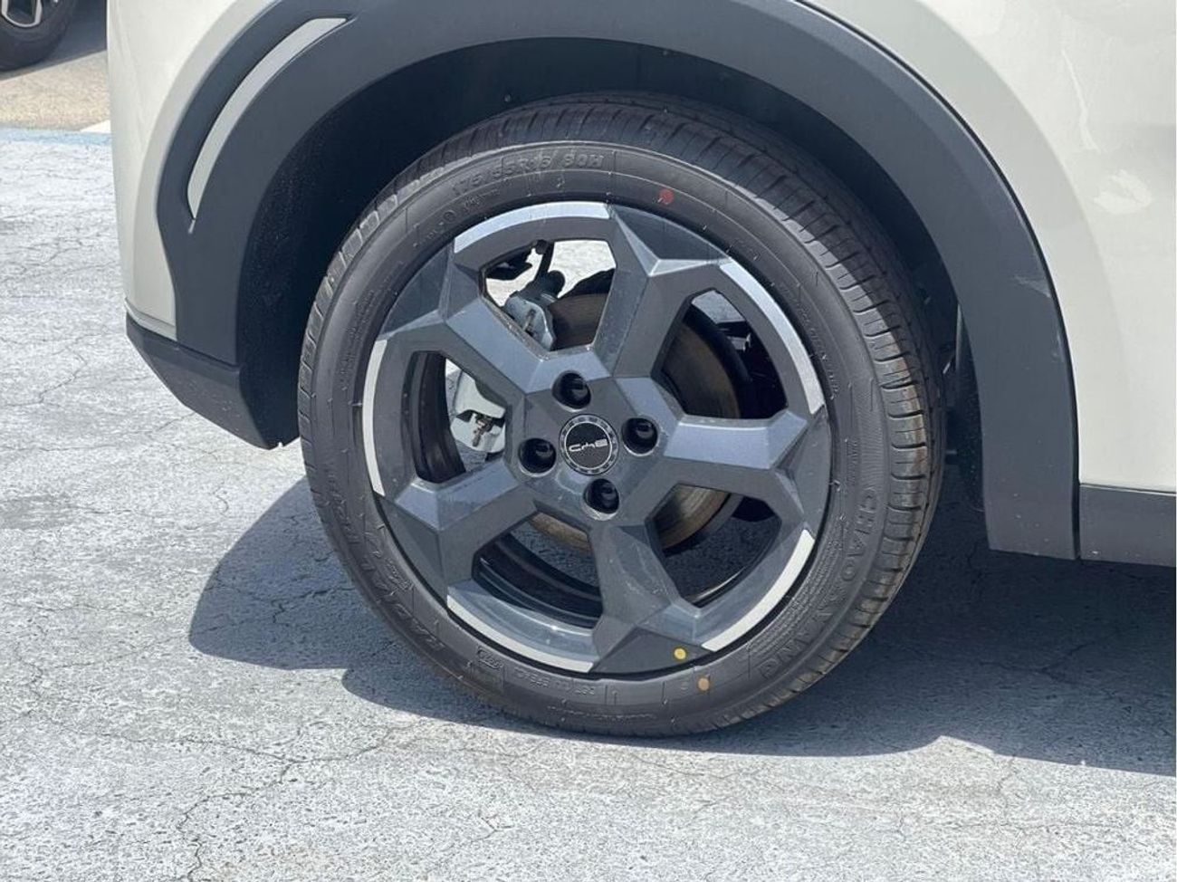 BYD Seagull 2025 BYD SEAGULL FLYING EDITION 405KM LONG RANGE