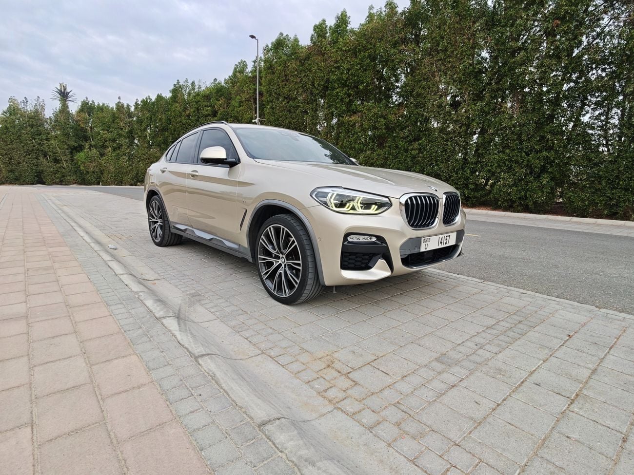 BMW X4 xDrive 30i M Sport 2.0L
