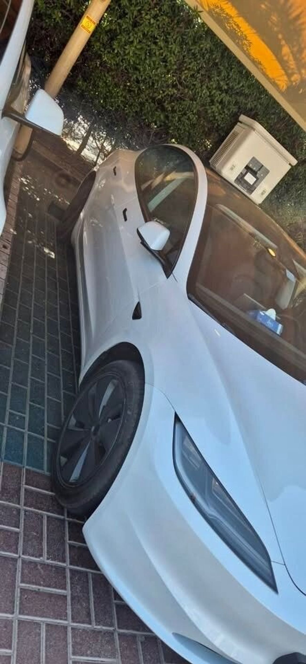 Tesla Model 3 Rear-Wheel Drive