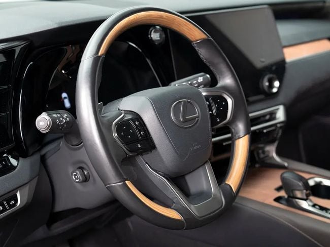 Lexus RX F-SPORT, миниатюра 25