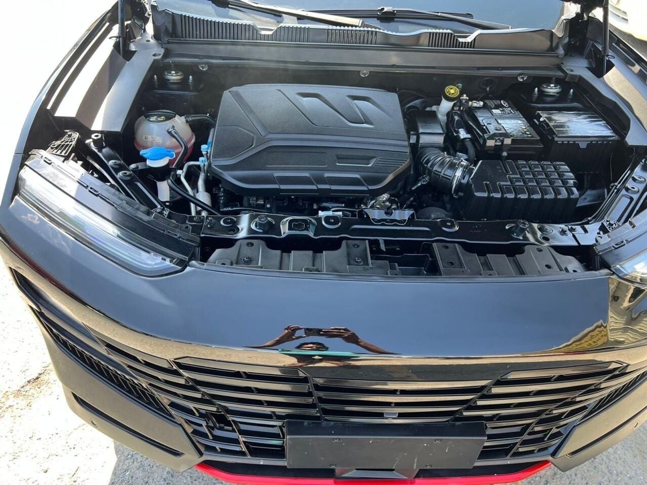 جيتور داشينج