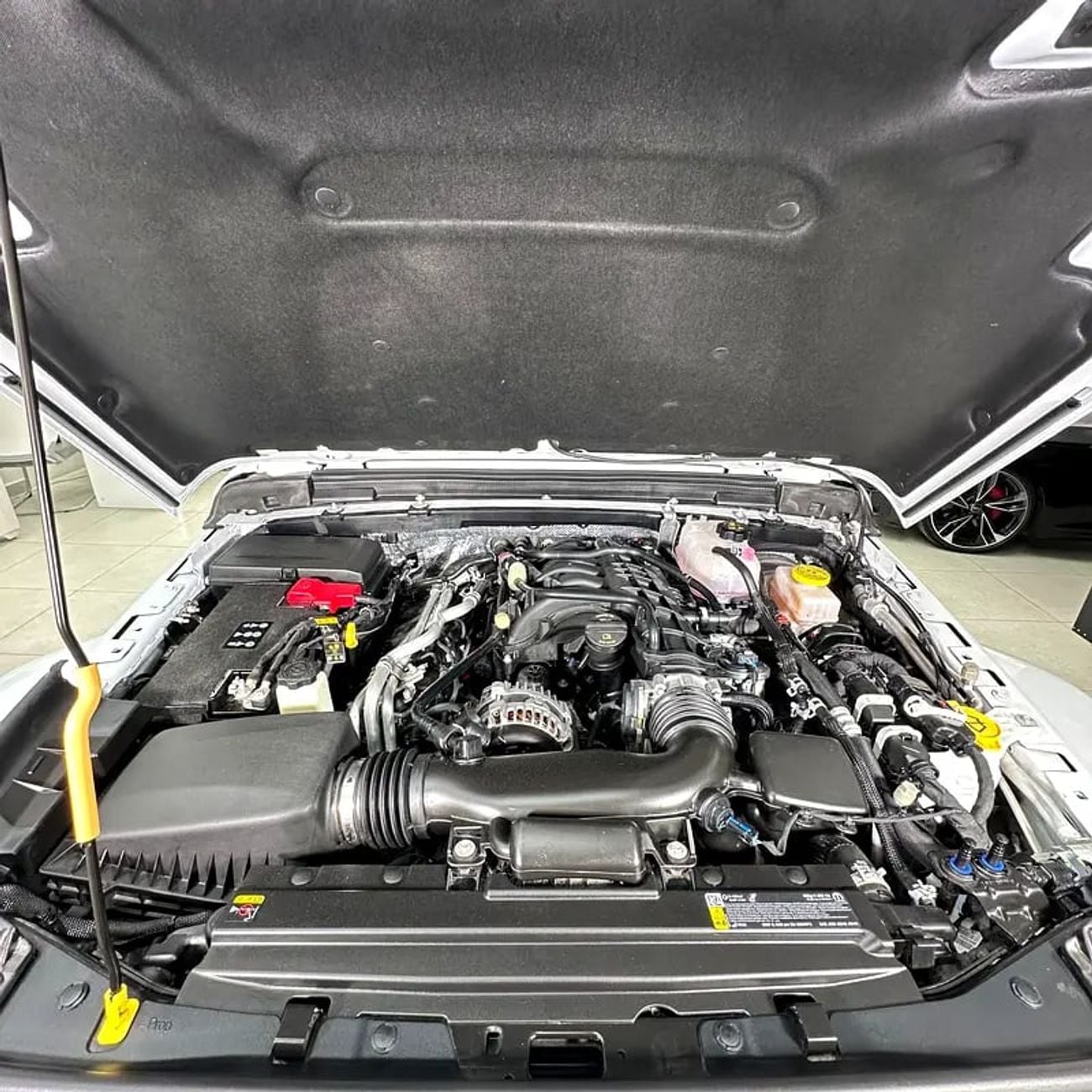 جيب رانجلر Sahara 3.6L M/T Sahara V6