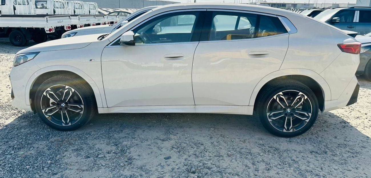 BMW X2 SDRIVE18i M SPORT M Sport Package