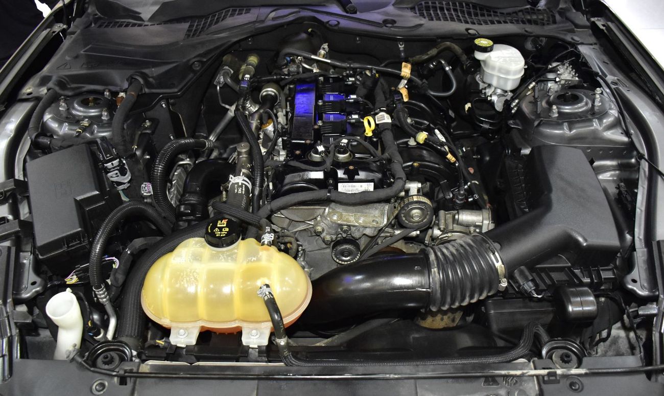 Ford Mustang EXCELLENT DEAL for our Ford Mustang ( 2022 Model ) in Grey Color American Specs