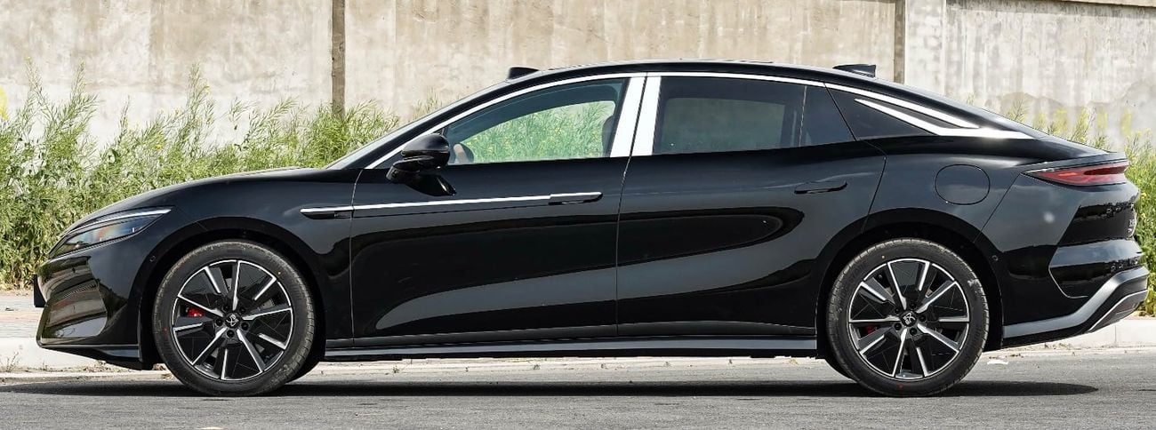BYD Han L black-brown