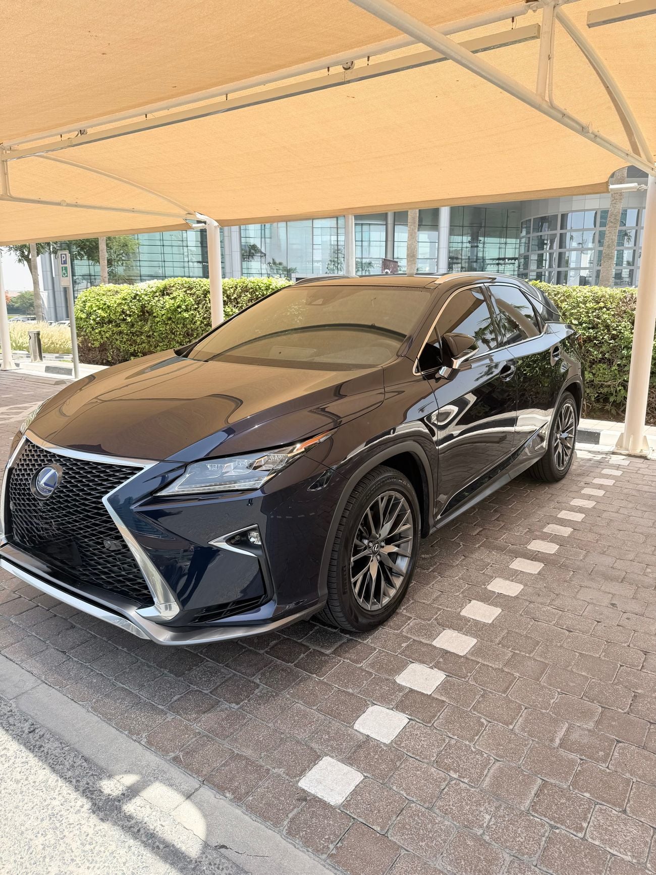Lexus RX450h Sports