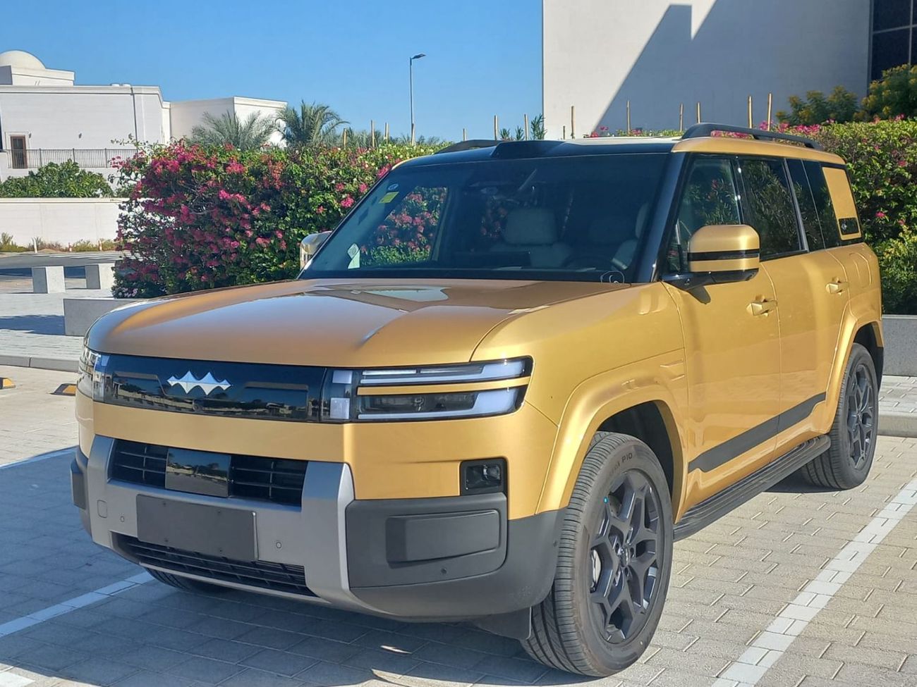 بي واي دي ليوبارد تيتانيوم 7