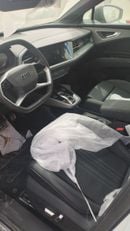 Audi Q5 2023 40 e-tron Shining Jinyi Set Parameter