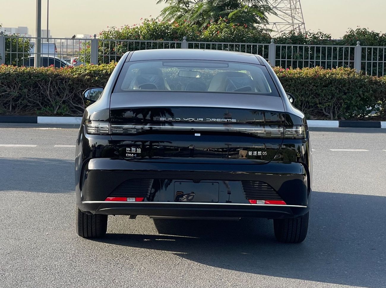 BYD Destroyer 05 Glory Edition 55 Luxury Edition