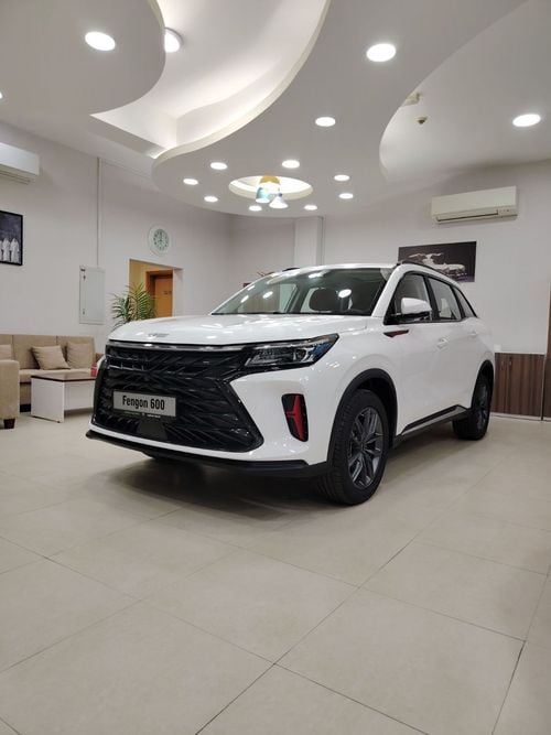 دي اف اس كاي 600 فنغون M1