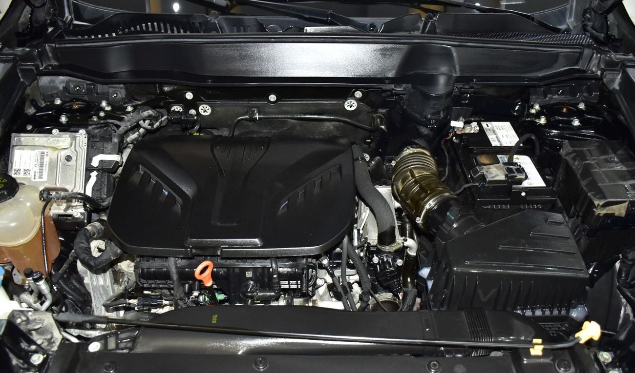 Haval H6 EXCELLENT DEAL for our Haval H6 2.0 GDiT ( 2024 Model ) in Black Color GCC Specs