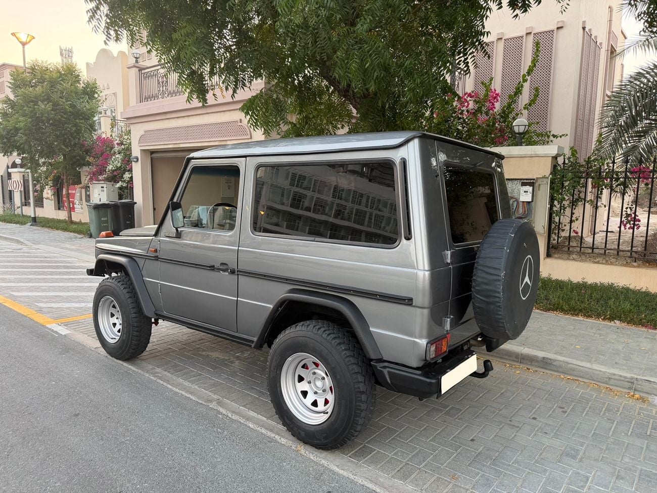 مرسيدس بنز G 320 Mercedes-Benz G-Class G230 Automatic | Petrol