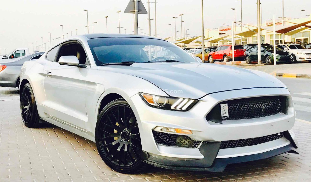 Ford Mustang Shelby Kit, Premium