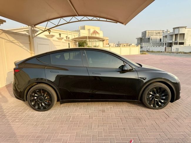 Tesla Model Y LONG RANGE, миниатюра 16