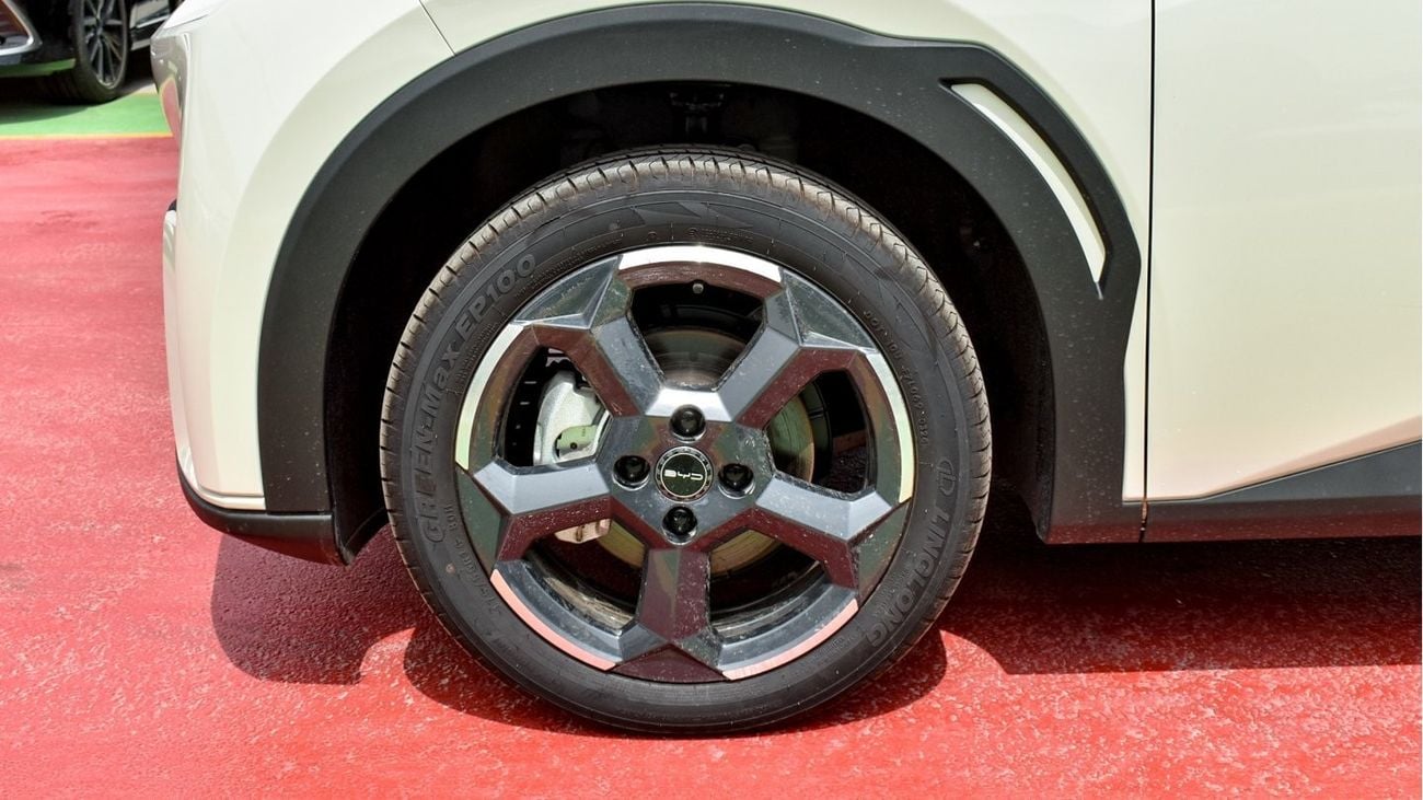 بي واي دي سيجول EV