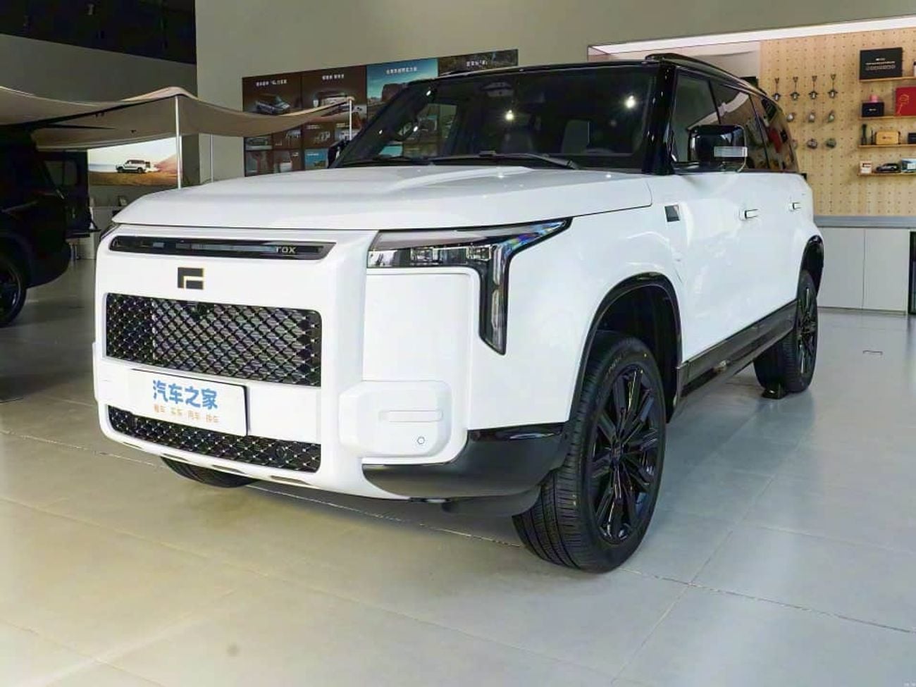 روكس أداماس VIP ADAMAS 6 SEATS  AND 7 SEETAS