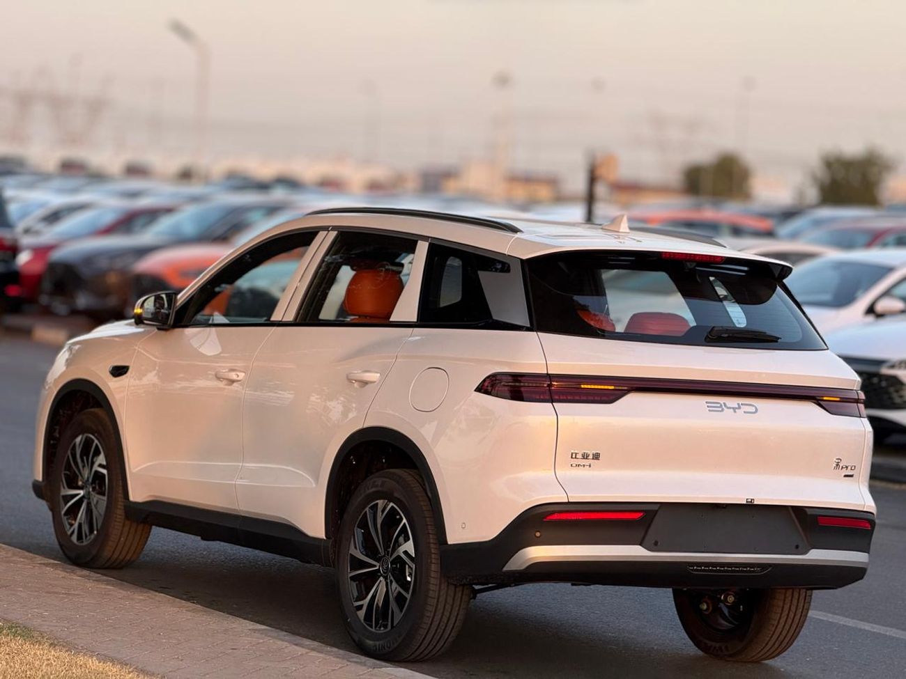 بي واي دي سونغ برو