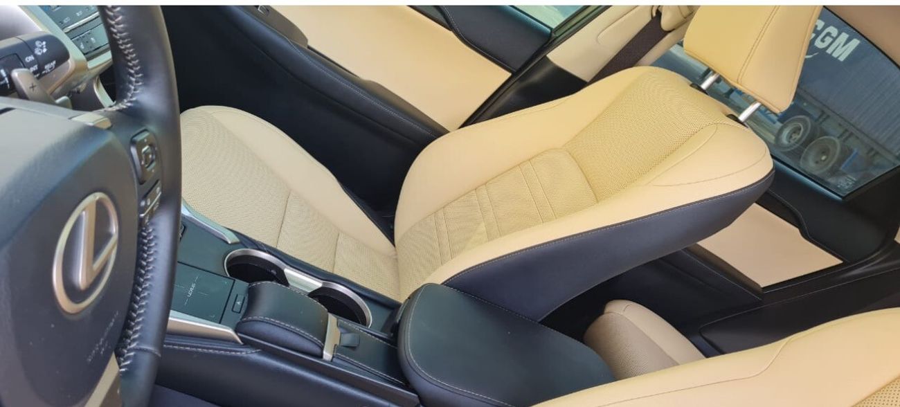 Lexus NX300 F Sport 2.0L