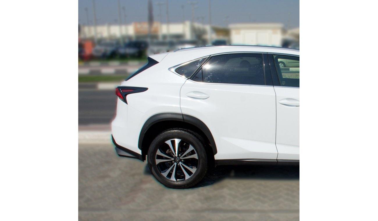 Lexus NX300 F SPORT