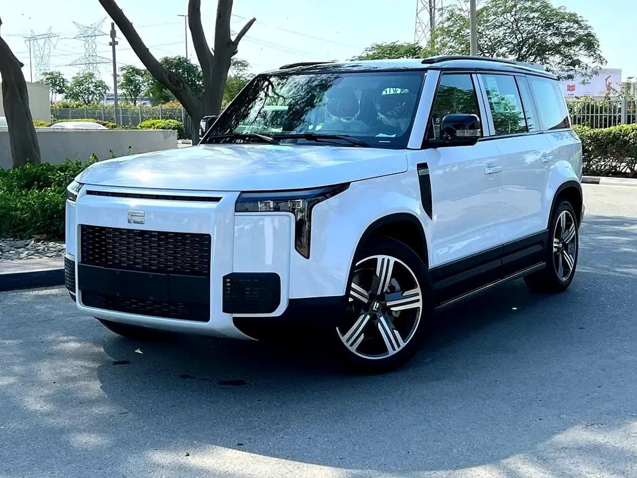 روكس 01 VIP 6 SEATER LONG RANGE, ELECTRICE PADEL (WARRANTY WITH ADDITIONAL CHARGE)