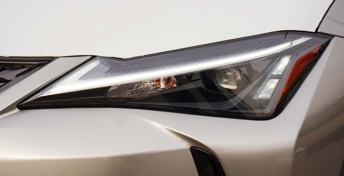 Lexus UX300h UX300 2.0L HEV