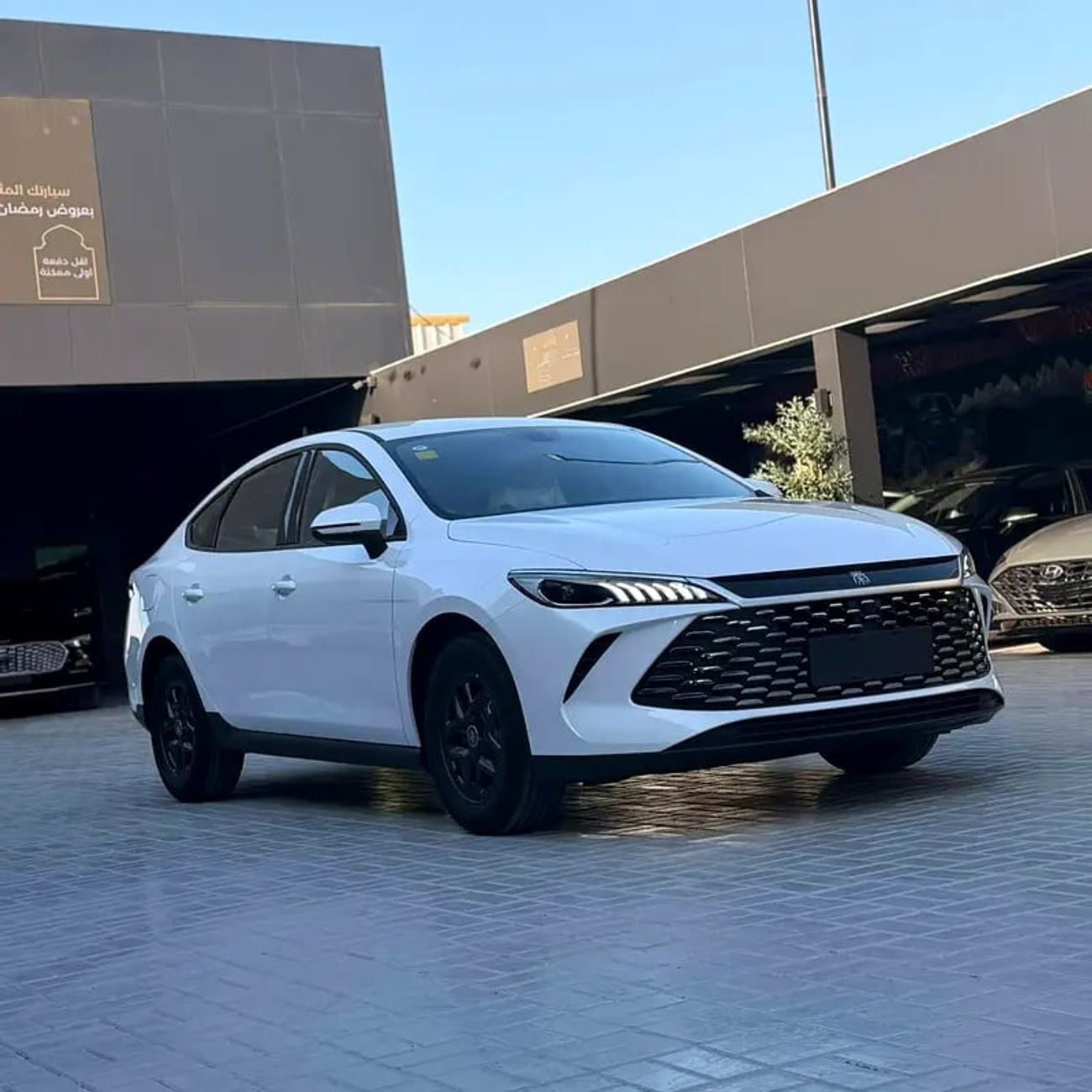 BYD QIN PLUS DM-i Honor Edition - Chinese Specs - Brand