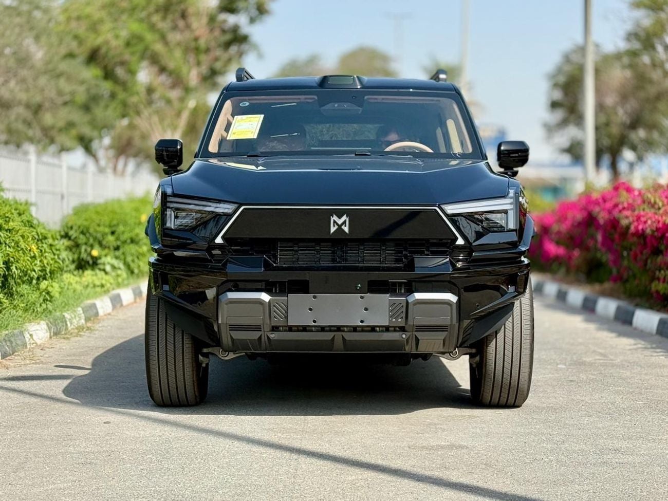 Dongfeng M Hero M917