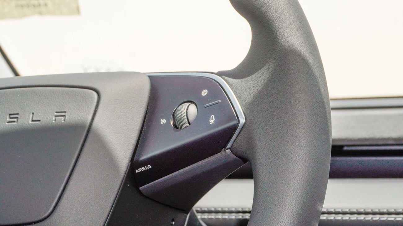 Tesla Model Y Real-Wheel Drive || Standard Range