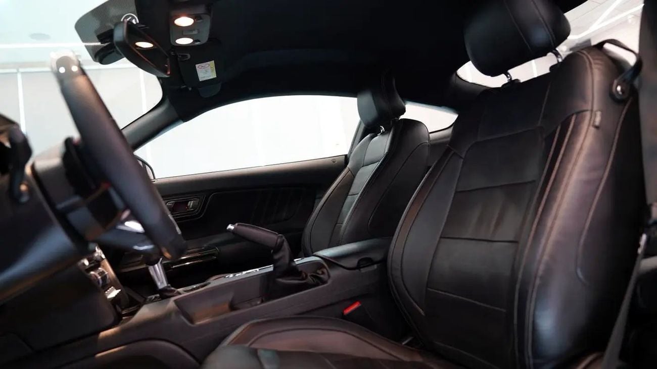 Ford Mustang GT Premium 5.0L V8