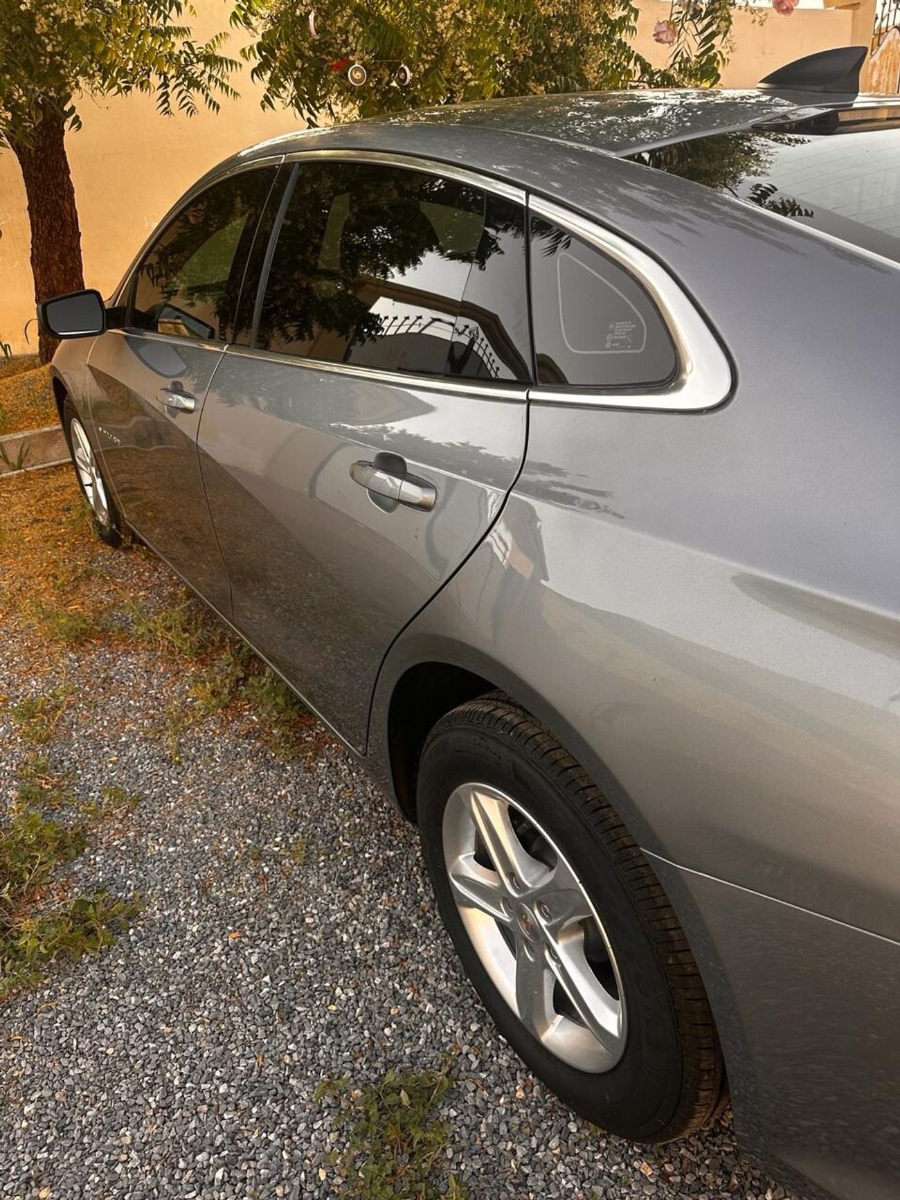 Used Chevrolet Malibu 1.5L 2023 for sale in Ras alKhaimah 742009