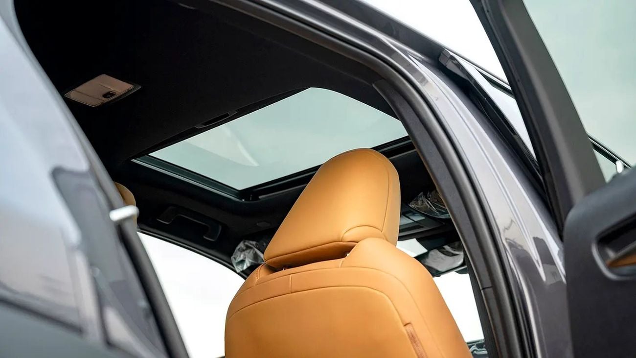 Lexus UX250h UX 250H | 2-YEAR WARRANTY + SERVICE AVAILABLE | IN-HOUSE FINANCING | 0% DOWNPAYMENT (BANK)