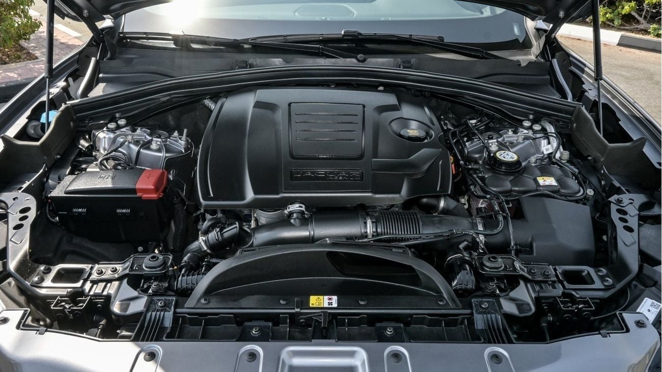 جاكوار F بيس R Dynamic