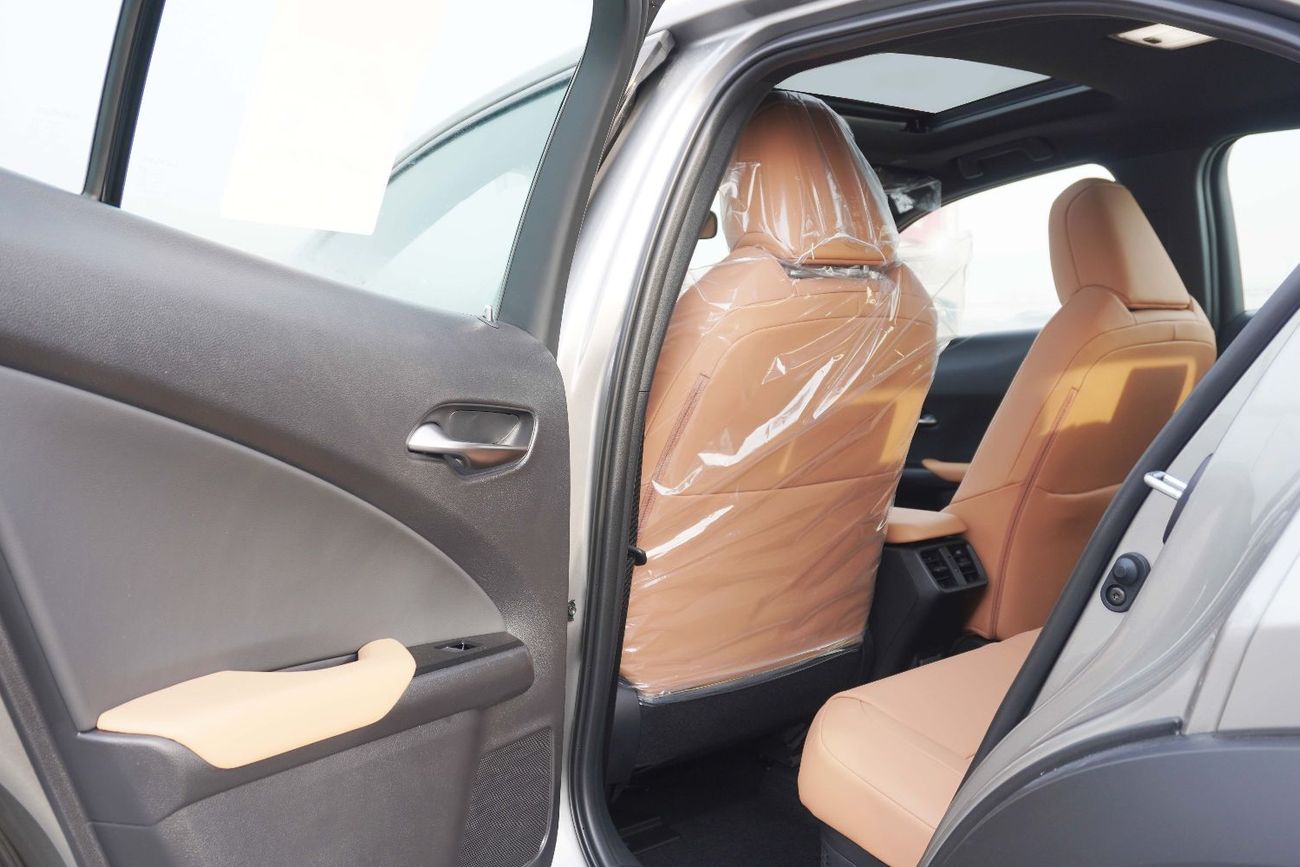 Lexus UX300h UX300 2.0L HEV