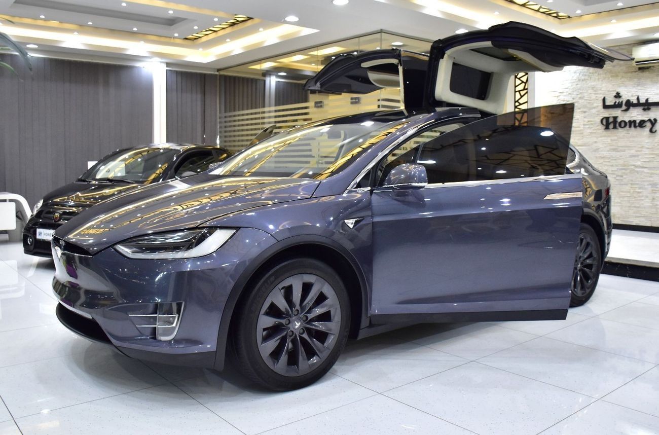 Tesla Model X EXCELLENT DEAL for our Tesla Model X 100D - Long Range ( 2019 Model ) in Grey Color GCC Specs