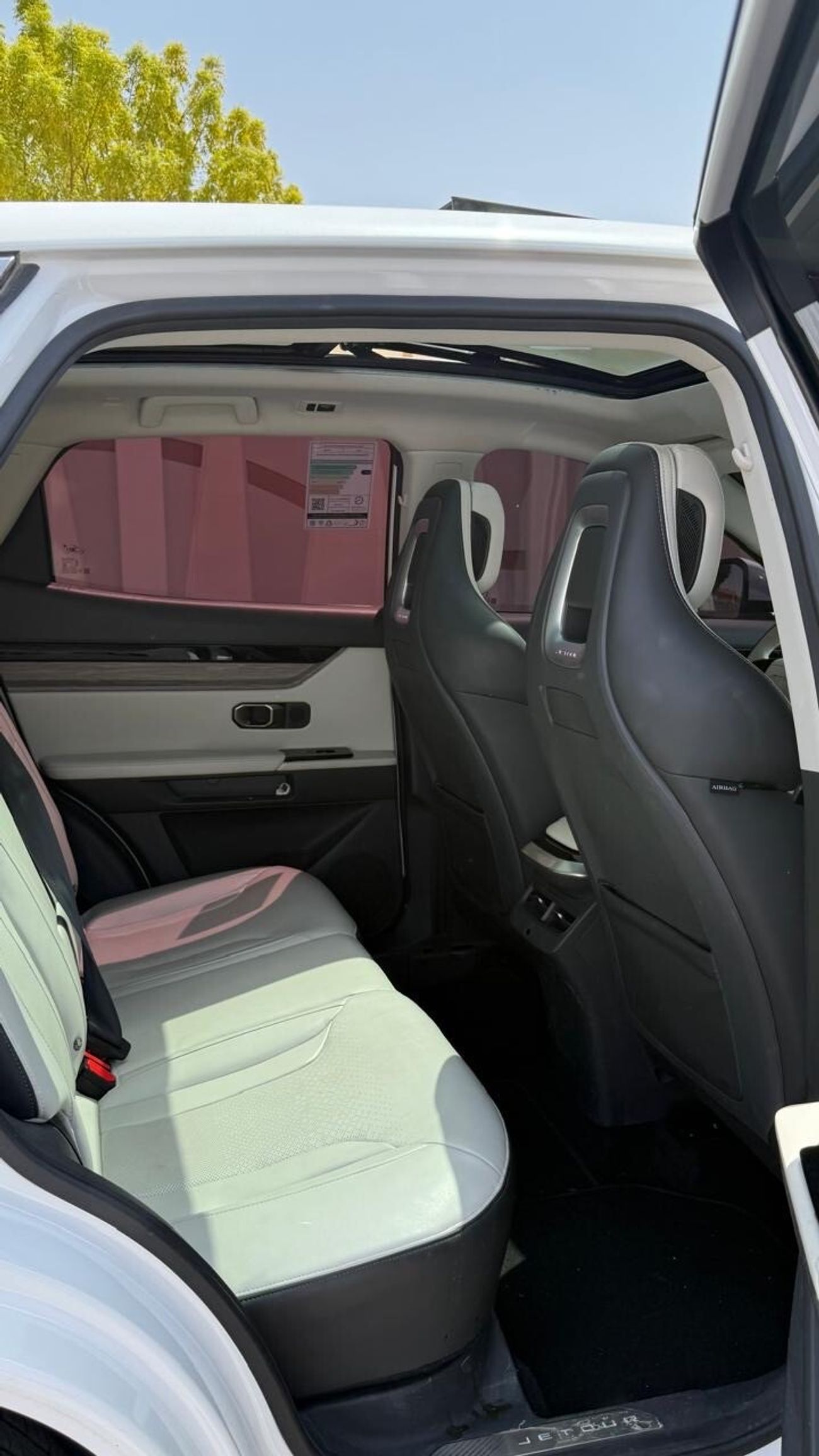 جيتور داشينج