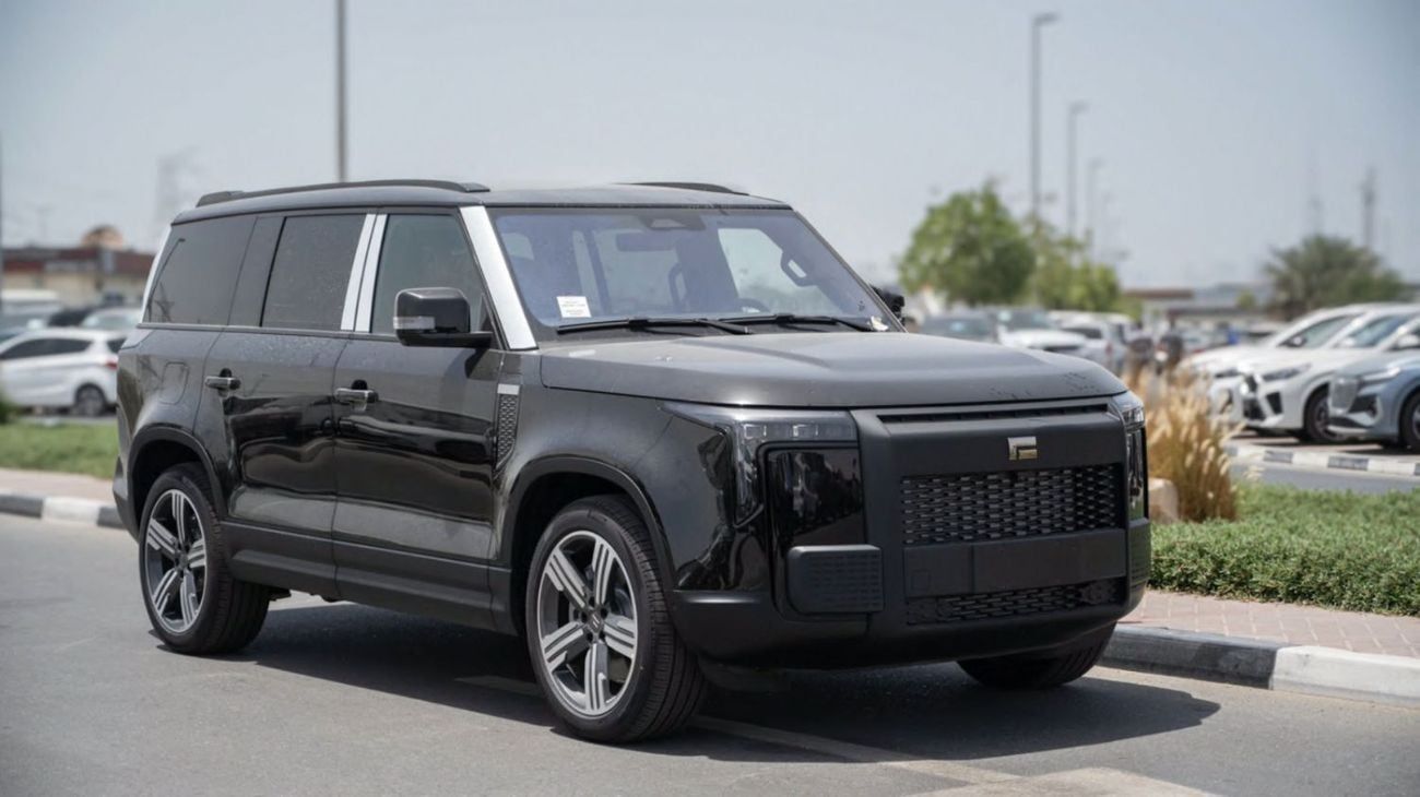 روكس 01 VIP PLUG-IN HYBRID 1.5L Petrol Turbo Engine Electric Range 235KM FOR LOCAL تسجيل محلي