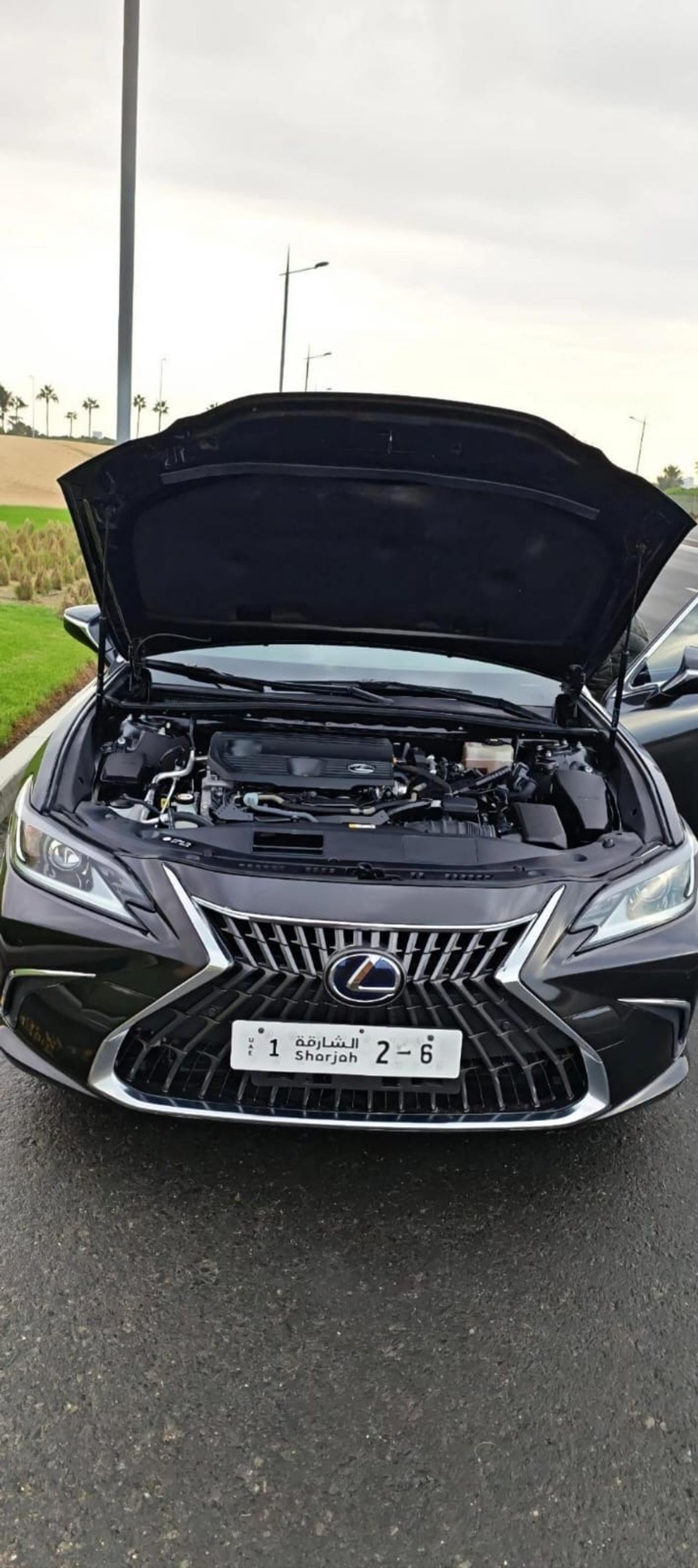 Lexus ES300h Hybrid 2.5L (204 HP)