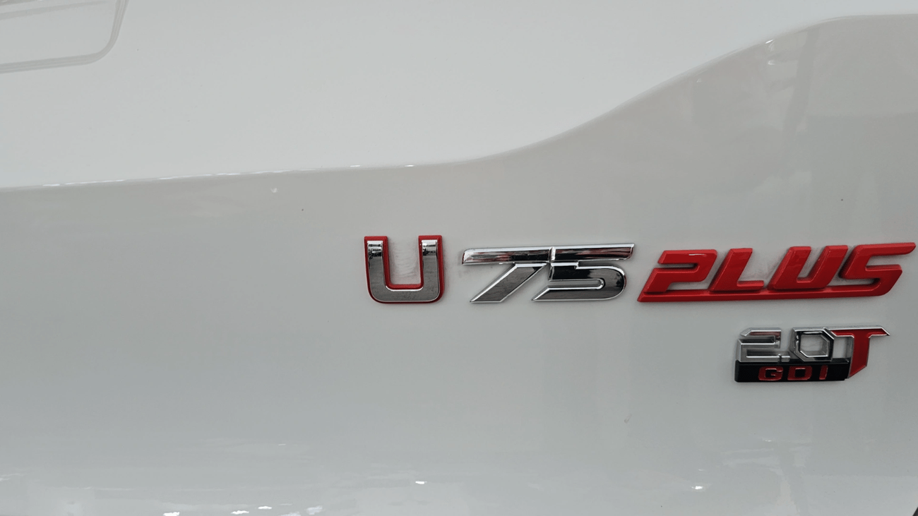 VGV U75 Plus VGV U75 PLUS