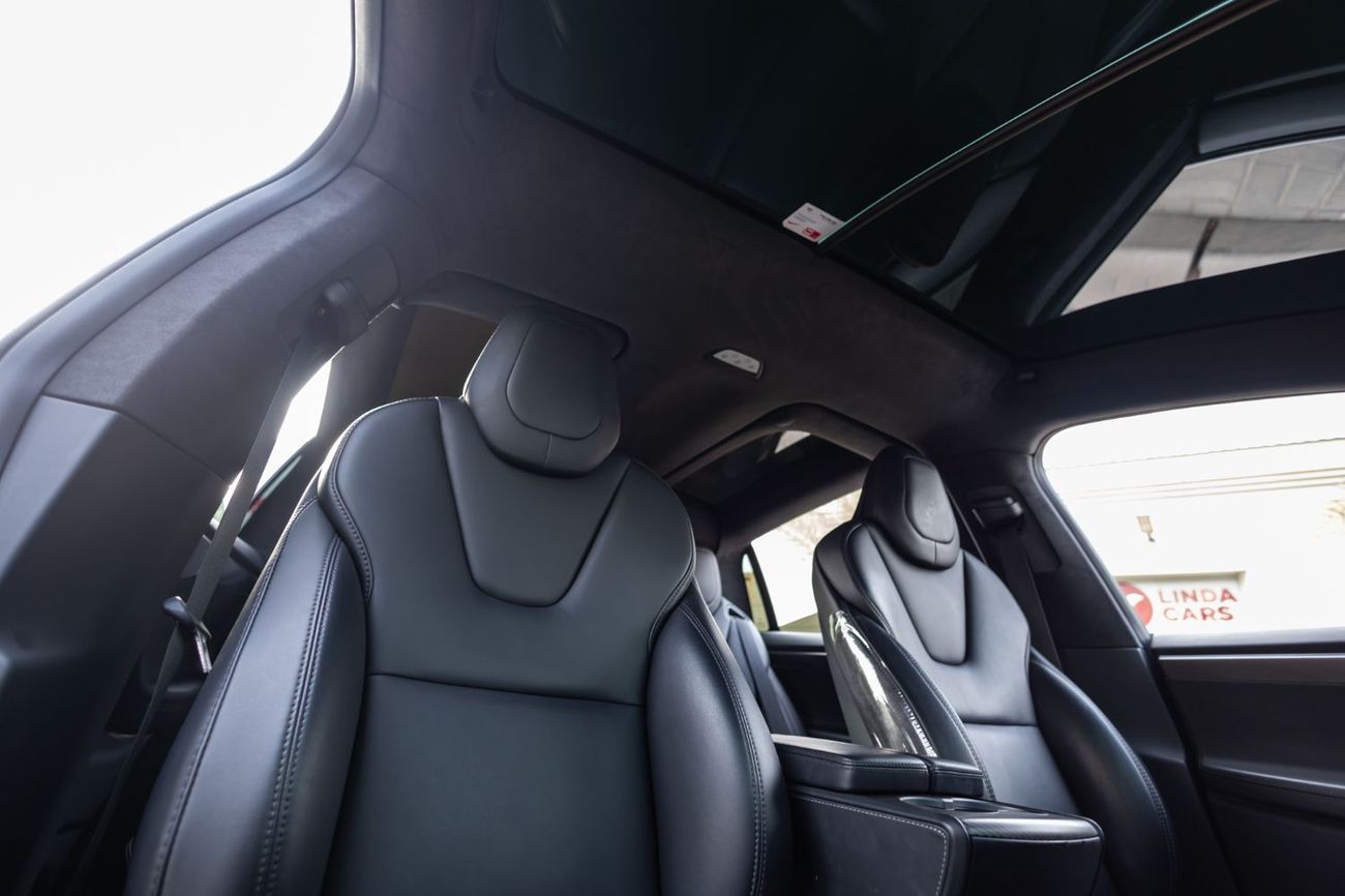 تسلا موديل اكس Performance