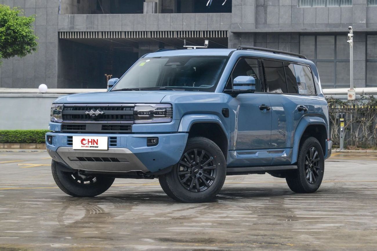 بي واي دي ليوبارد 5