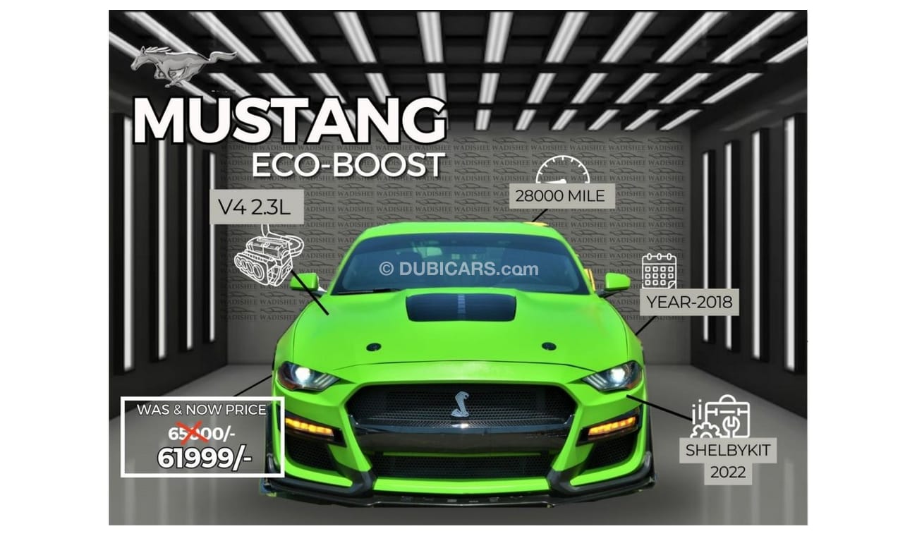 Ford Mustang AUGUST BIG OFFERS//EcoBoost MUSTANG//ECO-BOOST//NICE COLOR//GOOD CONDITION