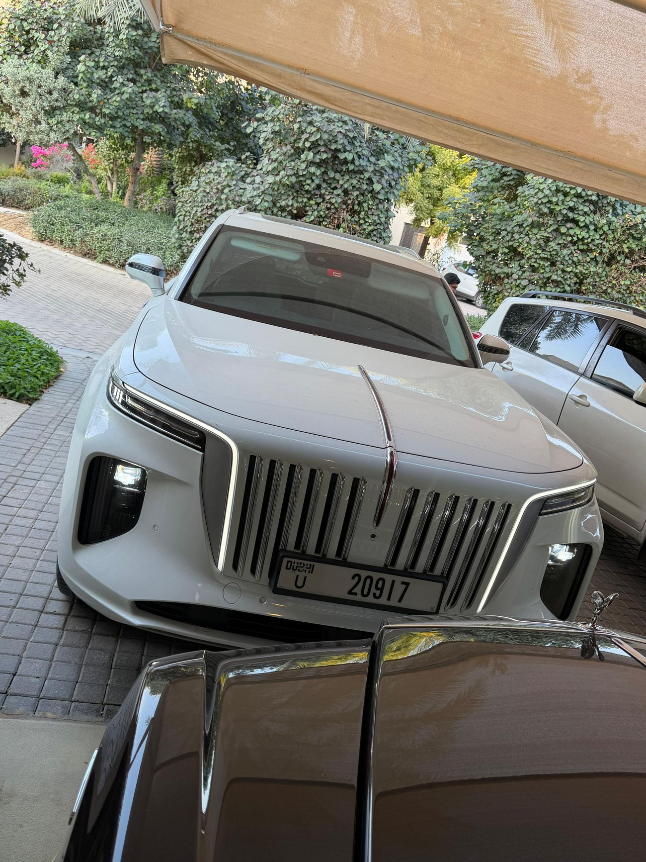 هونغشي EHS9 Executive