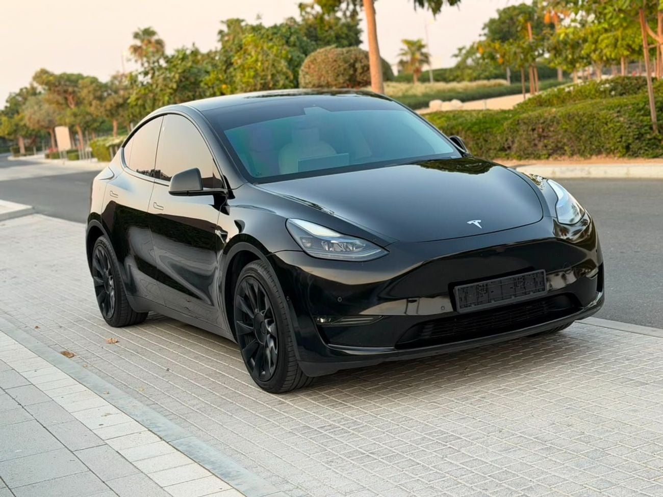 Tesla Model Y LONG RANGE
