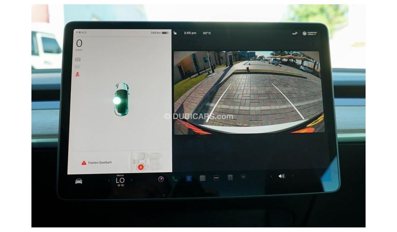Tesla Model 3 Performance