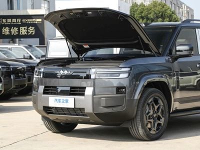 بي واي دي ليوبارد تيتانيوم 7 grey-white