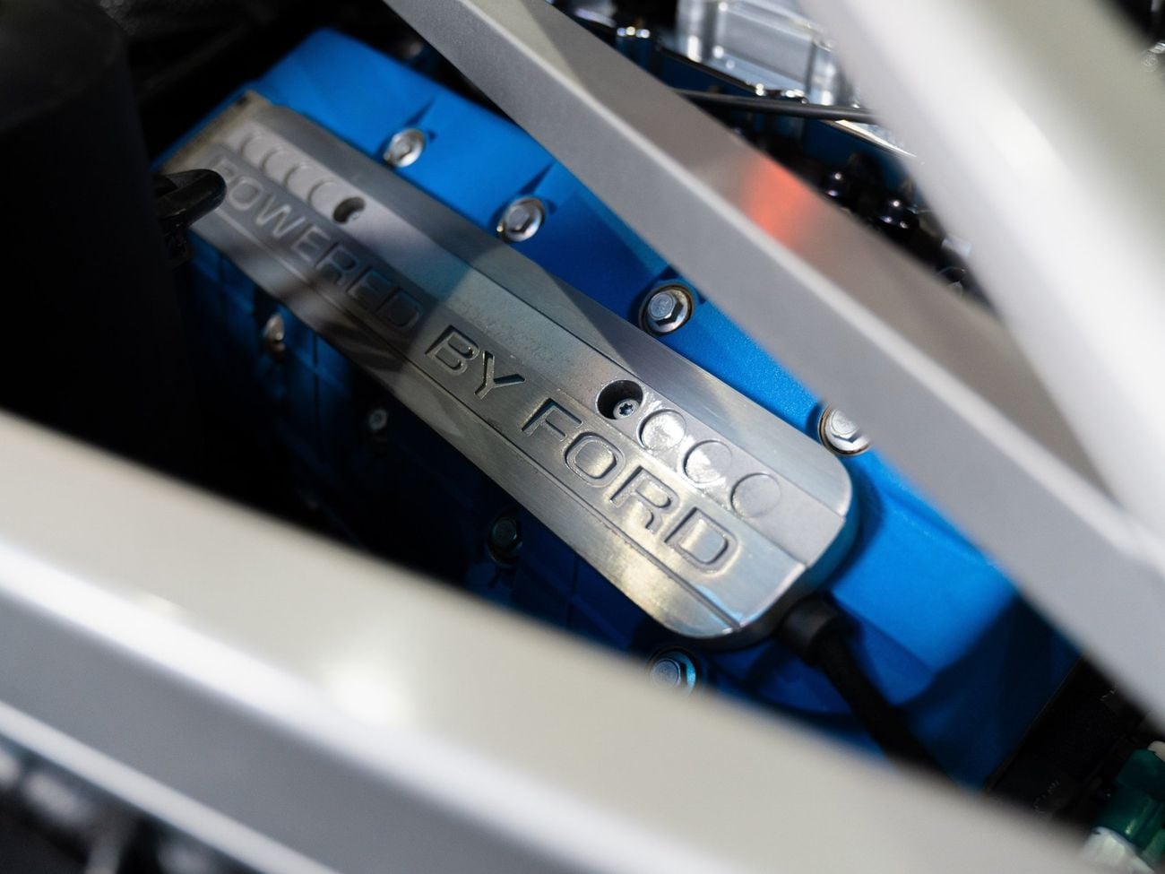 Ford GT Rare 1 of 14 Stripe Delete